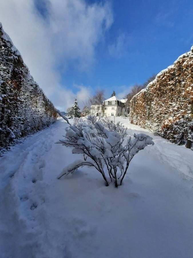 La Roseraie Stavelot Bagian luar foto